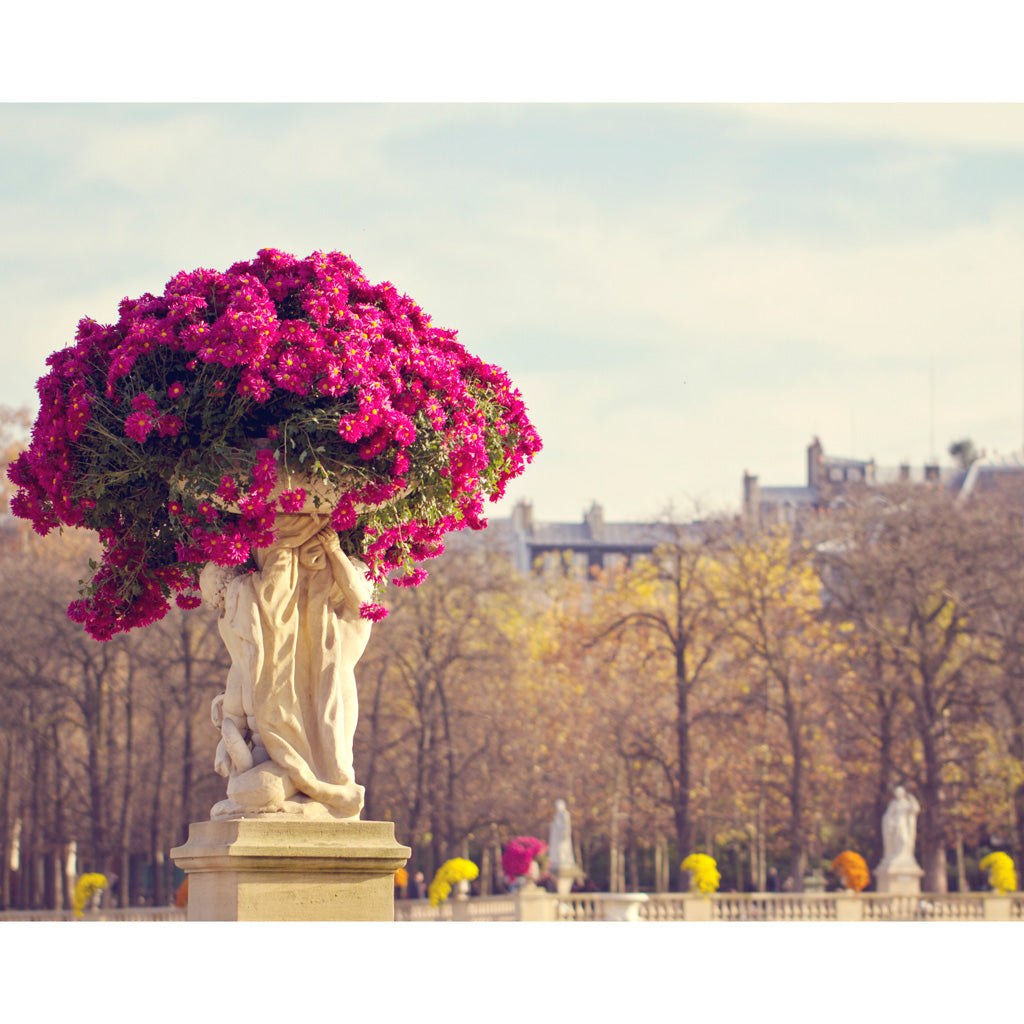 Paris Gardens Photography Print