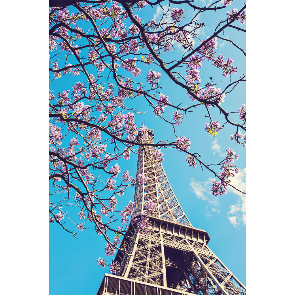 Springtime in Paris | Eiffel Tower Print