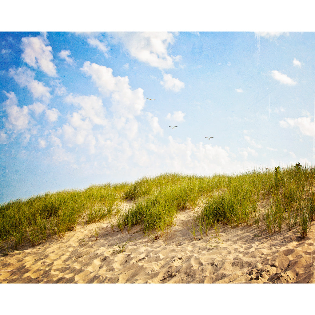 Summer Dunes Photograph | New Buffalo, Michigan