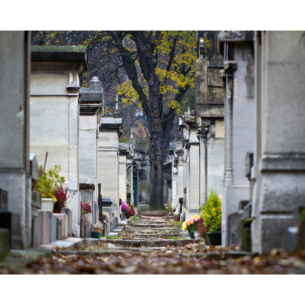 Pere Lachaise Cemetery Photography - Paris France