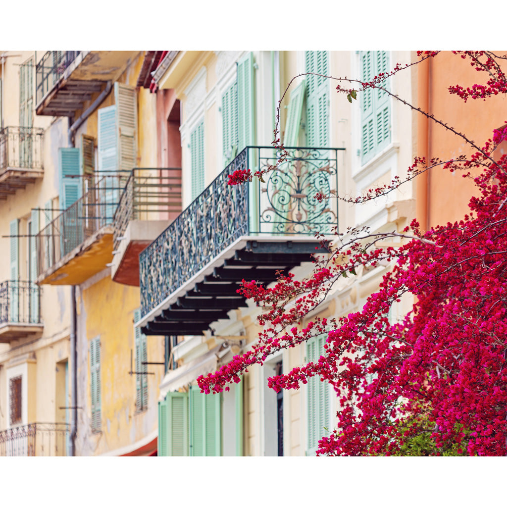 BOUGAINVILLEA Villefrance Sur Mer Photography Print 4x5