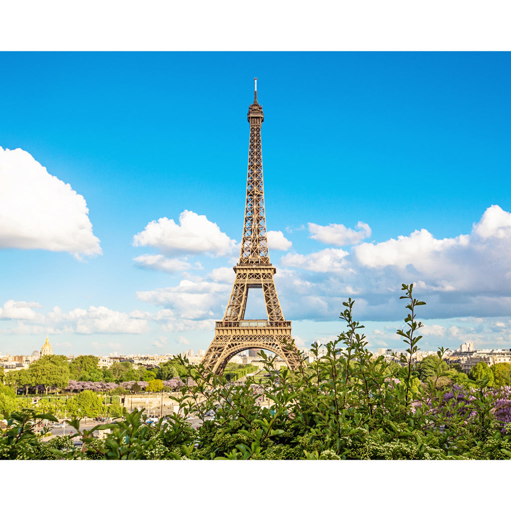 Cloud 9 | Eiffel Tower Photography Print 4x5