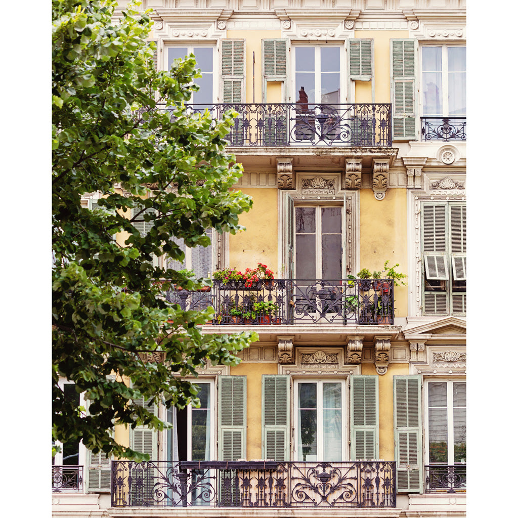 French Riviera Windows Photograph 4x5