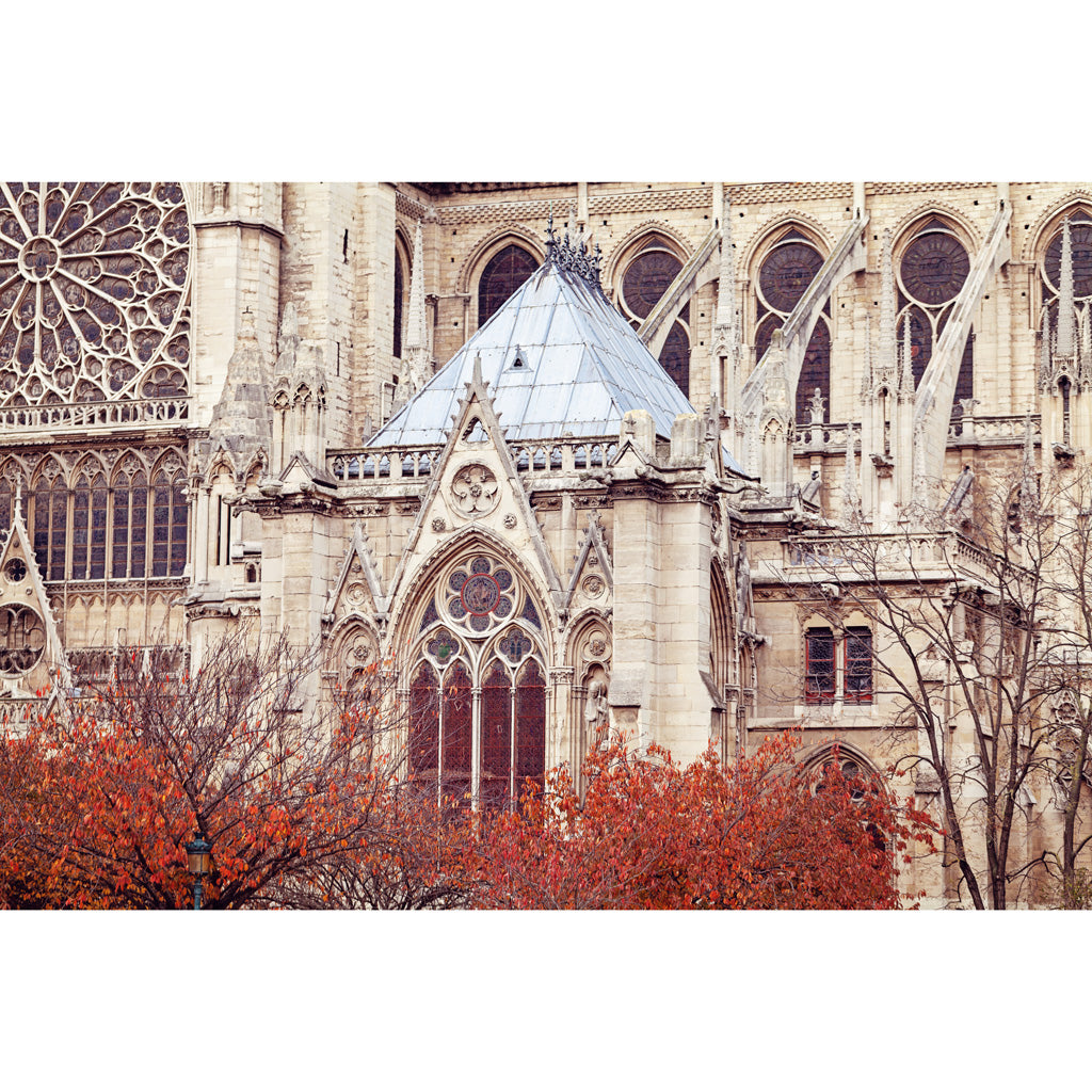 Notre Dame Paris Photography