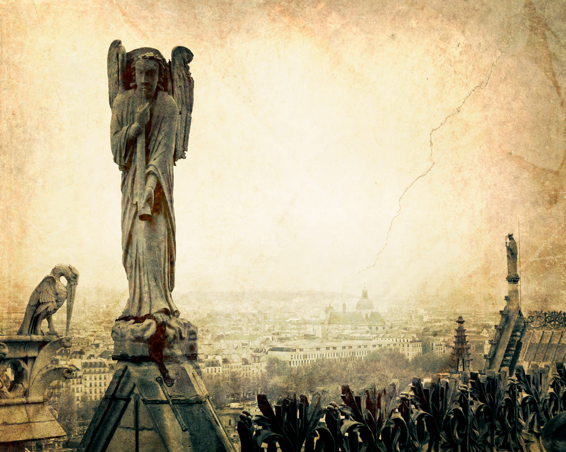 NOTRE DAME DE PARIS ROOFTOP | Paris Art Print