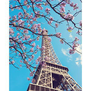 Springtime in Paris | Eiffel Tower Blossoms Photograph