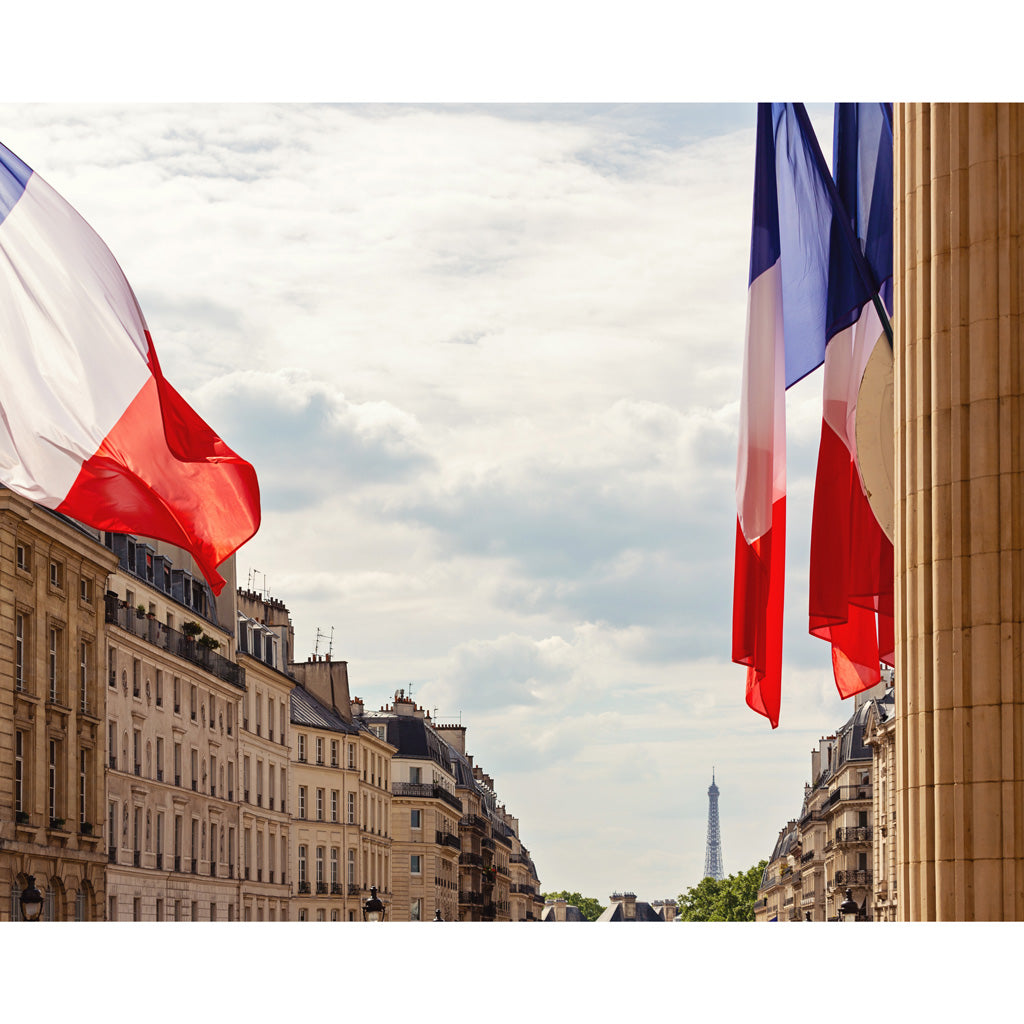View from the Pantheon | Paris, France 4x5