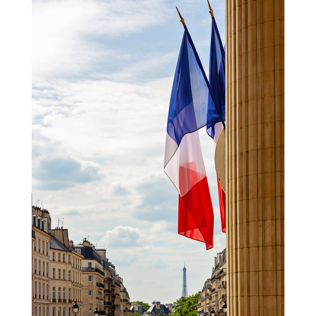 View From the Pantheon 4x5 Photograph