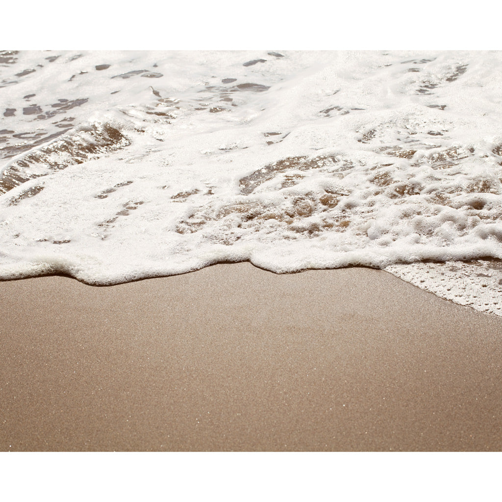 Wild Honey | Beach Photography Print 4x5
