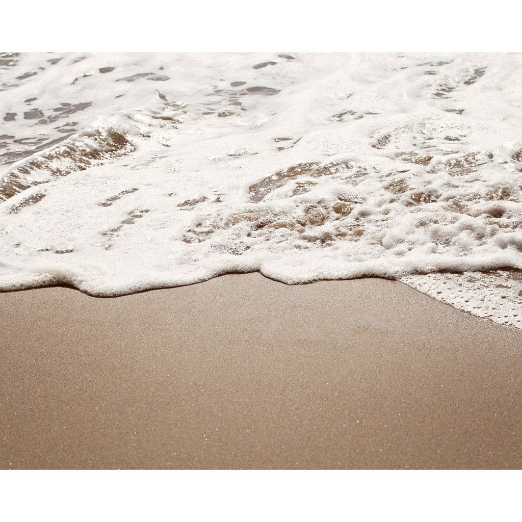 Wild Honey | Beach Photography Print 4x5